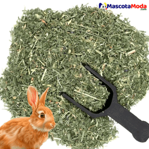 Alfalfa seca 450gr para conejos y roedores