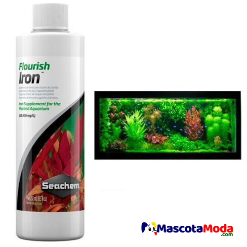 Flourish Iron hierro asimilable acuarios plantados