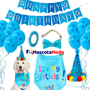Kit Set de fiesta de cumpleaños para perros y cachorros