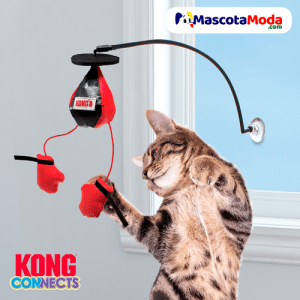 Juguete de ventana guantes de boxeo para gatos KONG connects
