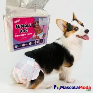 Pañales desechables económicos, para perras y cachorros