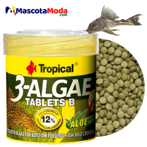 3-Algae alimento algas en tabletas peces de fondo