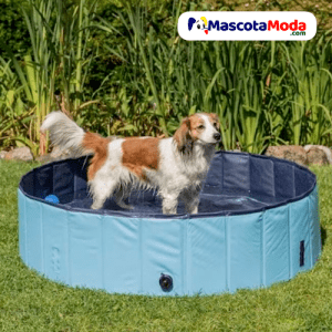 Piscina de jardín y viaje para perros o cachorros