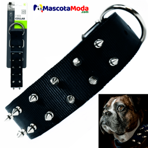 Collar T-REX con puntas taches metálicos para tu perro