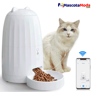 Dispensador automático comida para gatos musical y con Wifi