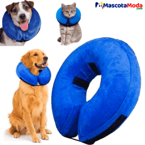 Collar isabelino económico perros y gatos todas las tallas