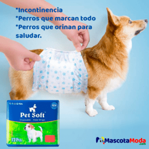 Pañales de cintura para perros y cachorros