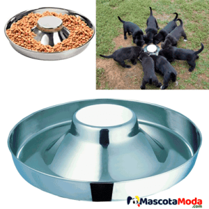 Plato en acero come lento perros grandes y gigantes
