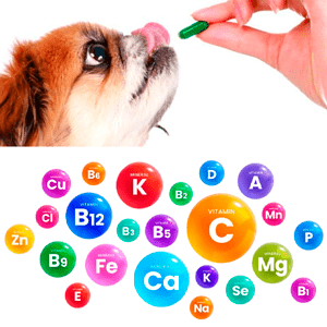 Vitaminas y Suplementos
