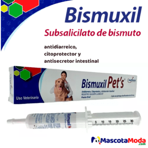Bismuxil Pets antidiarreico para perros y cachorros