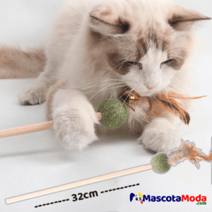 Caña vara juguete con esfera catnip para gatos