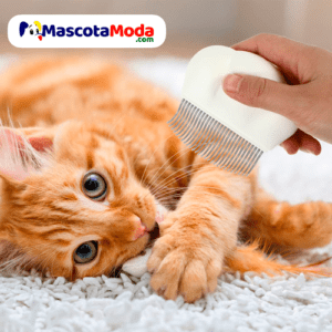 Peine ergonómico mantenimiento y cepillado gatos