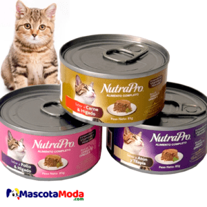 NutraPro alimento humedo en lata para gatos