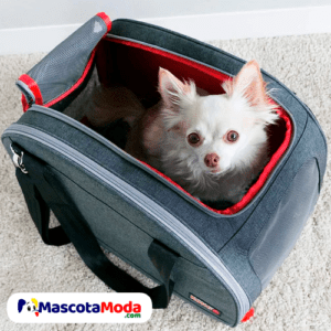 Kong Pet Carrier 2 in 1 Travel Mat bolso y cama perros