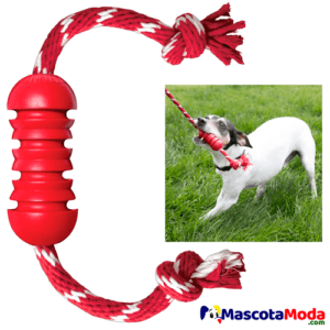 KONG dental con cuerda de algodón para perros
