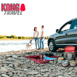 KONG travel