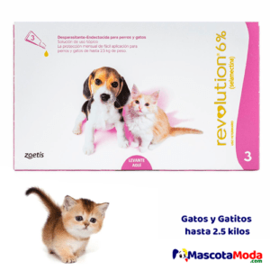 REVOLUTION pipeta antipulgas para gatitos