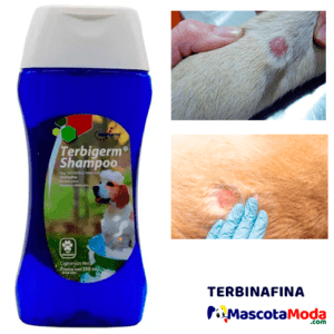 Terbigerm shampoo antimicótico hongos perros y gatos
