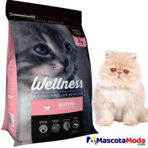Wellnes kitten alimento GRAIN FREE para gatitos