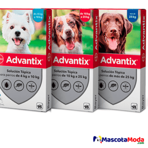 ADVANTIX pipetas antipulgas para perros