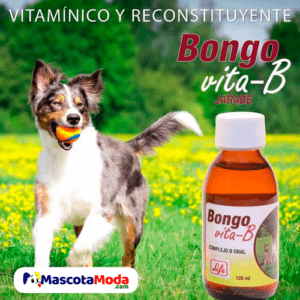 Bongo Vita-B complejo B y vitaminas mascotas