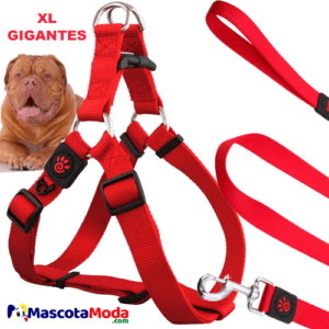 Arnés y correa para perros grandes y gigantes DOCO