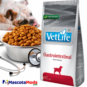 Alimento VetLife gastrointestinal para perros