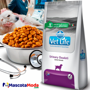 Alimento VetLife Urinary oxalatos para perros