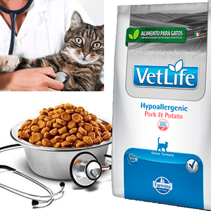 Alimento medicado