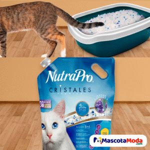 Cristales sanitarios para gato con aroma lavanda