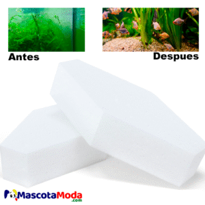 AlgaePads esponjas profesionales limpia algas Seachem