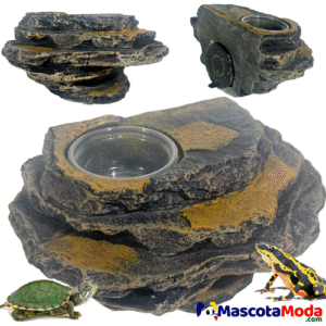 Roca terraza decorativa con plato para terrarios