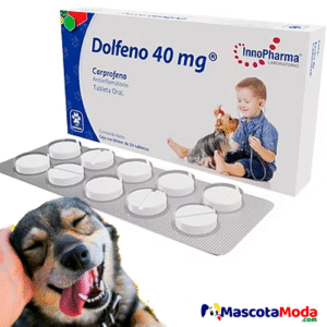 Dolfeno Dolor e Inflamación en Perros Carprofeno
