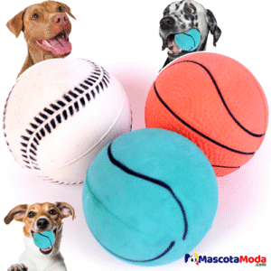 La Pelota Definitiva y economica perros deportivos