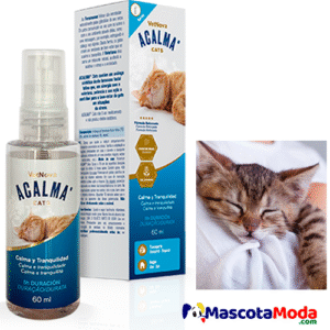 ACALMA calma y tranquilidad para gatos