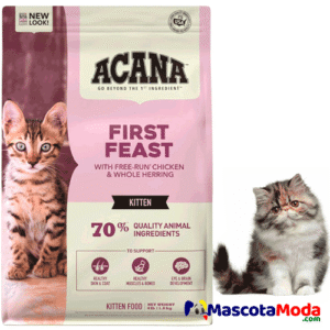  Acana First Feast kitten alimento gatitos ultra premium