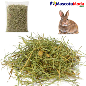 Heno premium raygrass ballica para conejos