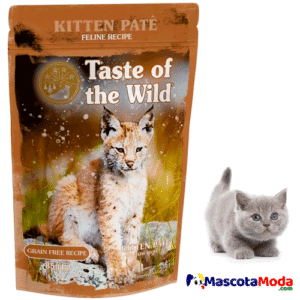 Kitten pate alimento húmedo gatos Taste of the wild