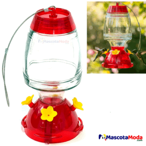 Bebedero tipo botella en vidrio para colibri