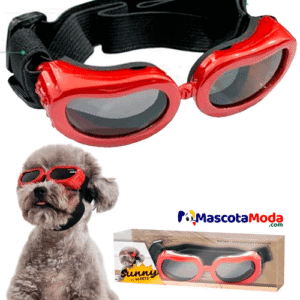 Gafas de Sol para Perros Más que un Estilo una Necesidad