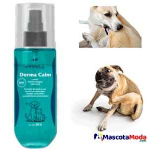 SPONGE DERMA CALM  Alivio Natural Dermatológico perros y gatos