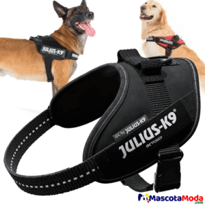 Arnes JULIUS K9 para perros deportivos