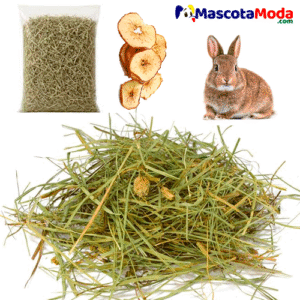 Heno de raygrass y fruta deshidratada para conejos