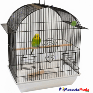 Jaula clásica estándar para aves pericos canarios