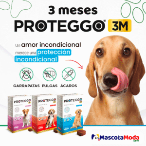 Proteggo 3M atipulgas masticable que dura 3 meses perros