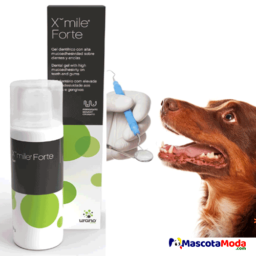 X-mile forte pasta dental reforzada para perros y gatos