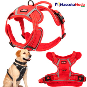 Arnés pechera KONG CONTROL  para perros Pequeños