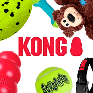 KONG