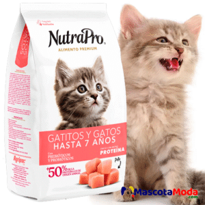 NutraPro alimento premium gatos y gatitos