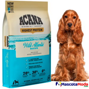 ACANA Wild Atlantic alimento ultra Premium perros